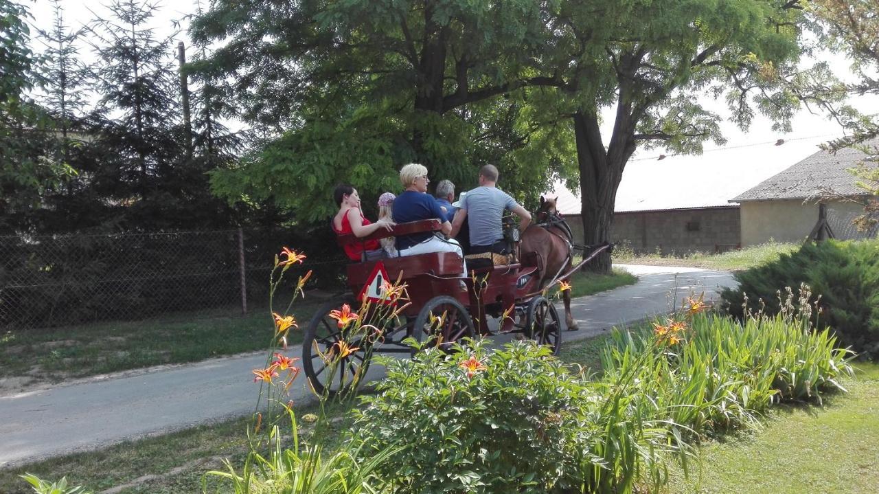 Swieze Poddasze U Przybyszow Andruszkowice エクステリア 写真