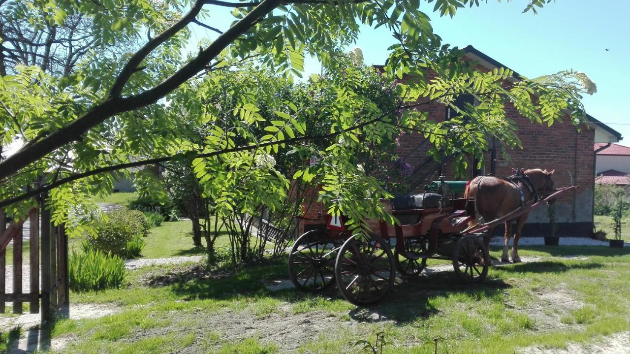 Swieze Poddasze U Przybyszow Andruszkowice エクステリア 写真